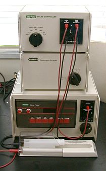 ��`�q�������u�@GenePulser�@(Bio-Rad)  4F